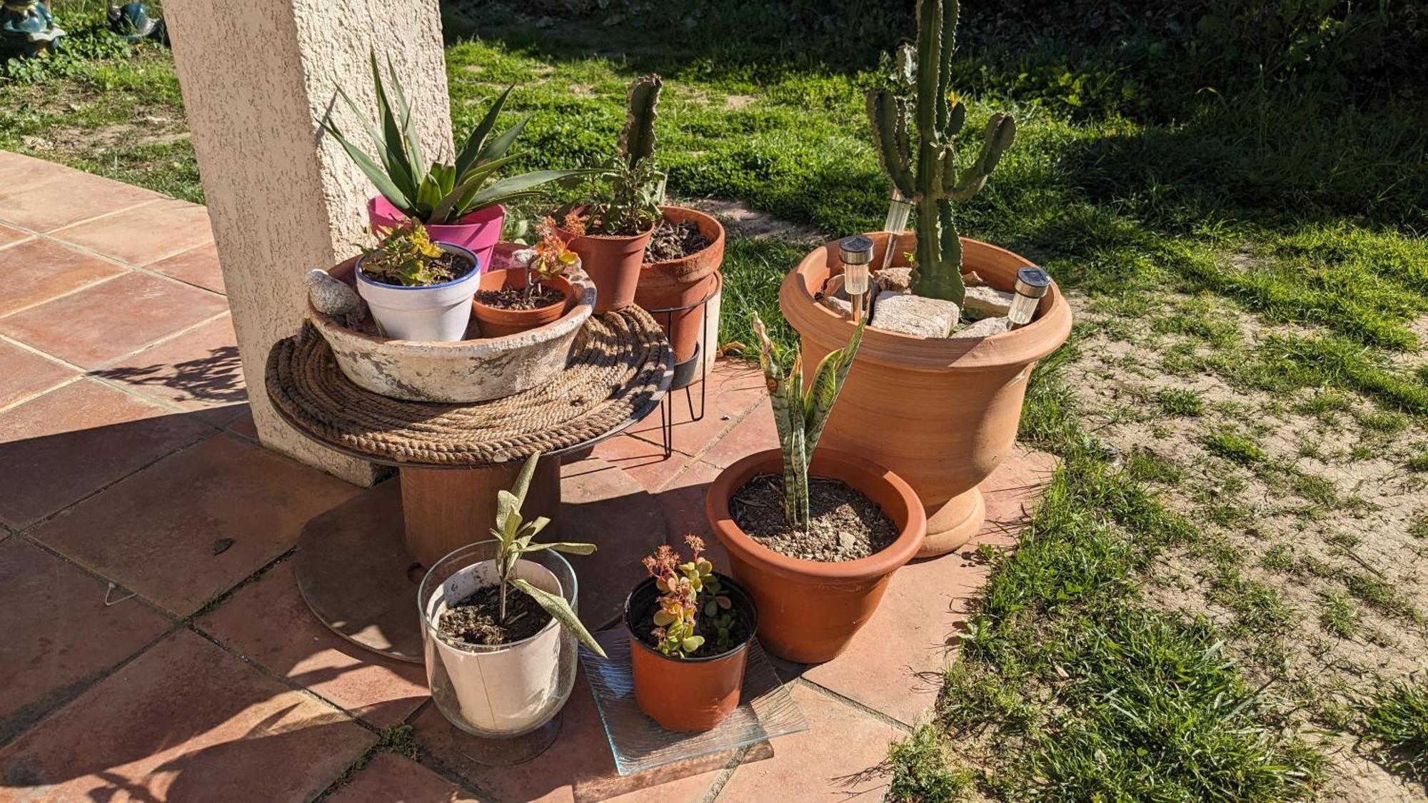 Maisonnette Kalis Calme Avec Climatisation Parking Jardin Cadre Campagne Plages A Pieds Bandol Ngoại thất bức ảnh