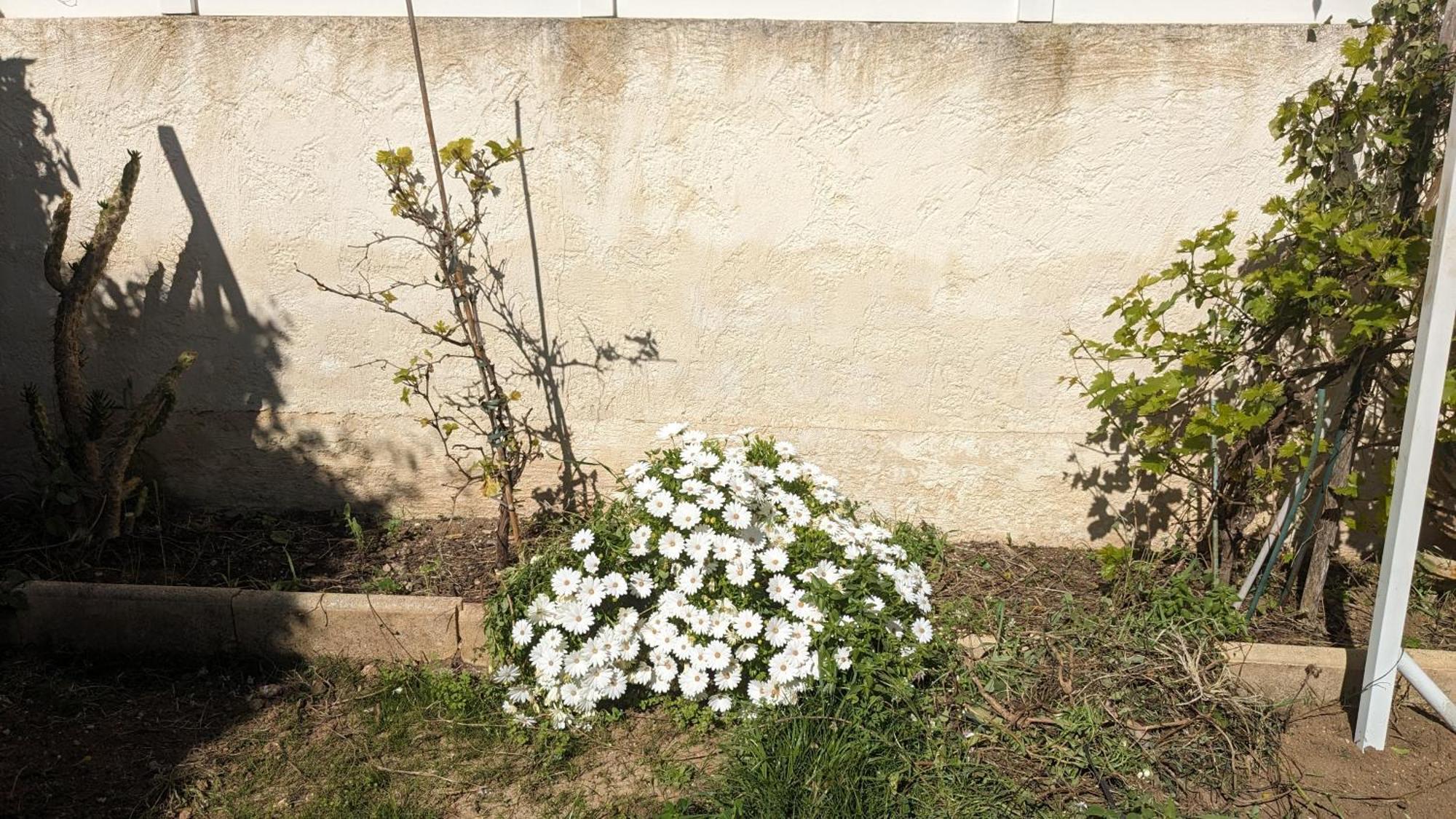 Maisonnette Kalis Calme Avec Climatisation Parking Jardin Cadre Campagne Plages A Pieds Bandol Ngoại thất bức ảnh